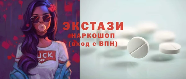 гашик Пестово