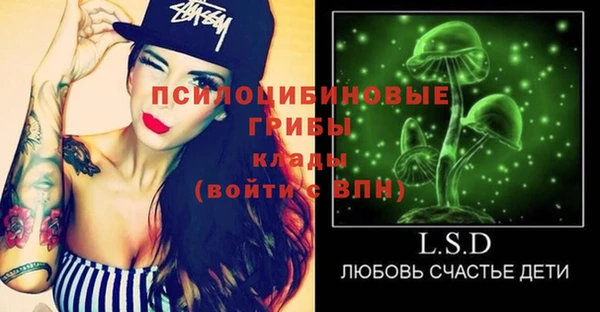 спиды Алзамай